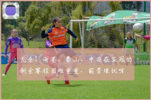 无奈！海港、泰山、申花在亚冠的剩余赛程困难重重，前景堪忧呀
